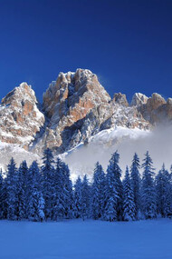 Natural Park of the Ampezzo Dolomites