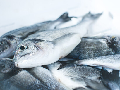 Pescados frescos. Ante el doble reto de perder biodiversidad y el aumento de los embates del cambio climático en la agricultura, el propio sector agrícola puede y debe transformarse