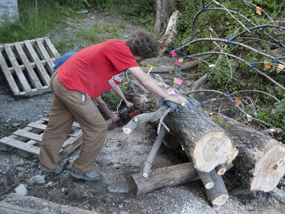 Pep Vidal. 19-metre tree. Image courtesy of ADN Gallery. Paula Artés (©)