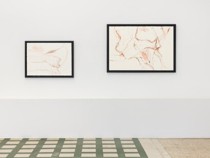 Gabrielle Goliath, Bearing, exhibition view. Courtesy of Galleria Raffaella Cortese