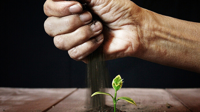 Agricultura sostenible