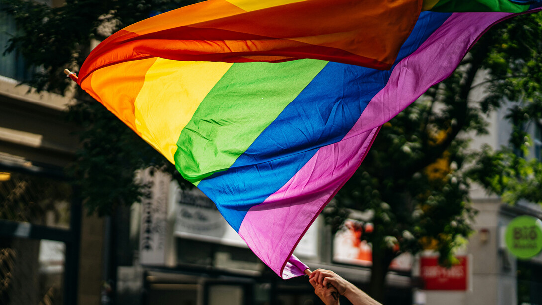 O Dia Internacional do Orgulho LGBTQIAPN+ celebra a diversidade sexual e de gênero e destaca a importância da luta por direitos civis, igualdade e respeito. Comemore essa data refletindo sobre as conquistas e os desafios da comunidade LGBTQIAPN+