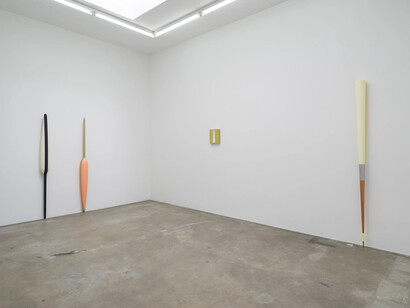 Lisa Williamson, Hover land lover, exhibition view. Courtesy of Tanya Bonakdar Gallery