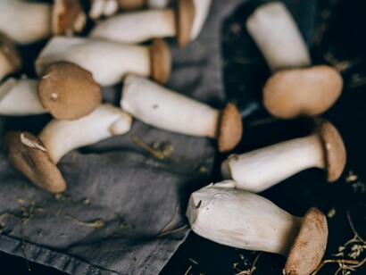 Oltre al gusto, il Pleurotus eryngii è noto per le sue proprietà nutrizionali, essendo ricco di proteine, fibre e vitamine del gruppo B