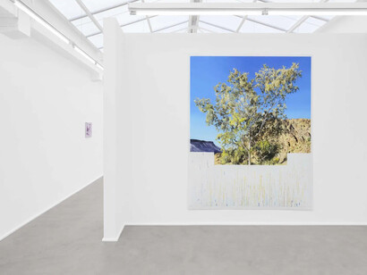 Marcel Berlanger, La disparition des limicoles, vue d'exposition. Avec l'aimable autorisation de la galerie Rodolphe Janssen