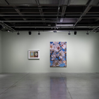 Mustafa Hulusi, Breathing in the world, exhibition view. Courtesy of Dirimart