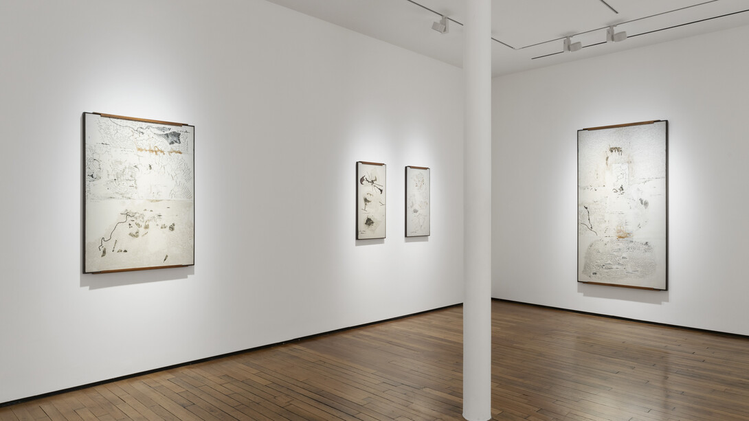 Jitish Kallat, Point of incidence, vue de l'exposition. Avec l'aimable autorisation de Templon