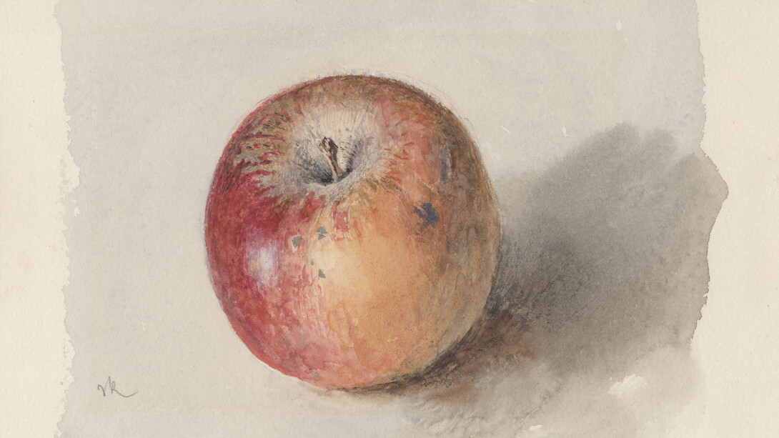 John Ruskin, Blenheim Orange Apple c.1873, Watercolour and bodycolour on heavyweight white wove watercolour paper; 11.7 x 16.5 cm (sight), Private collection
