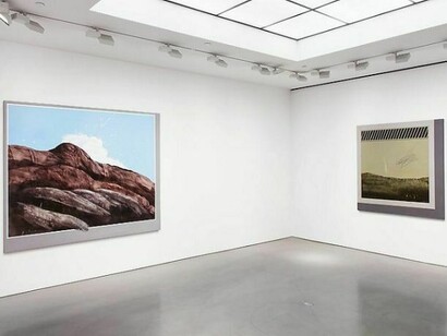 Installation views: Llyn Foulkes. Andrea Rosen Gallery 2, New York October 12 - November 16, 2013. Photograph taken by Lance Brewer, courtesy of Andrea Rosen Gallery  