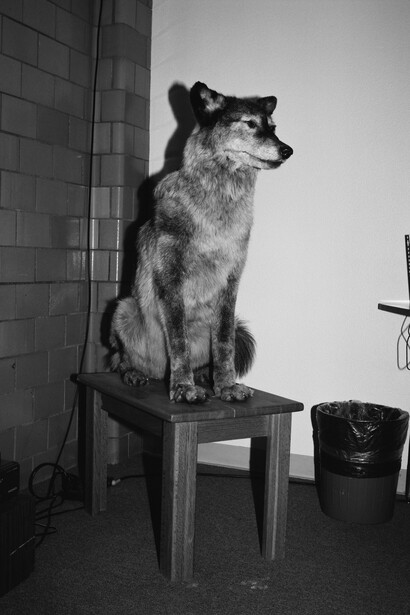 Anush Hamzehian & Vittorio Mortarotti. Courtesy of Galleria Peola Arte Contemporanea