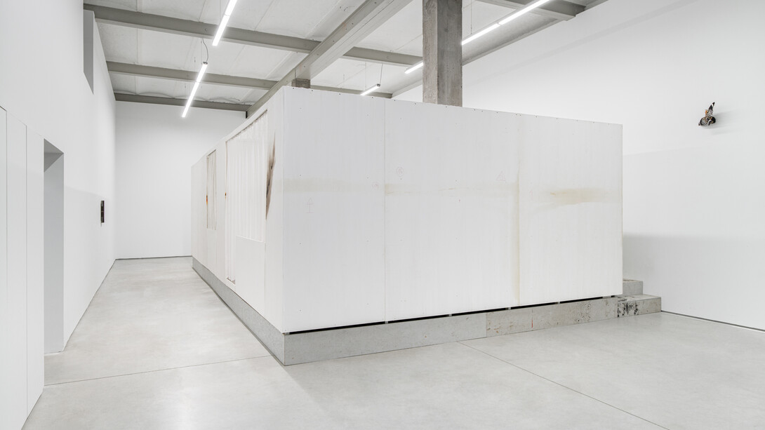 Marcin Dudek, exhibition view of Nest at Harlan Levey Projects, Brussels, 2026. Courtesy of the artist and Harlan Levey Projects. Photo by Shivadas de Schrijver