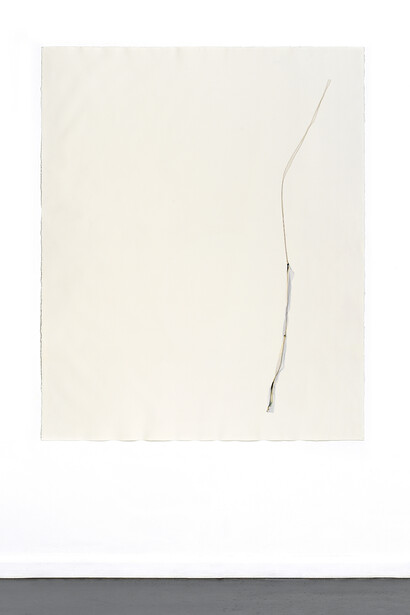 Untitled #1, 2020 Emulsion lift on paper Cm 160x130
