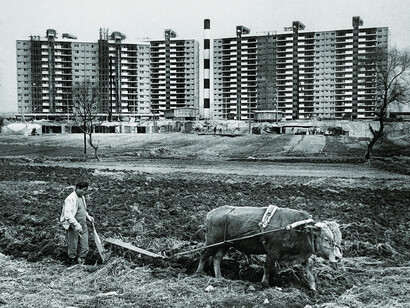 Jun Min Cho, Plowing Outside of Apgujeoeng, Seoul, 1978 © Jun Min Cho
