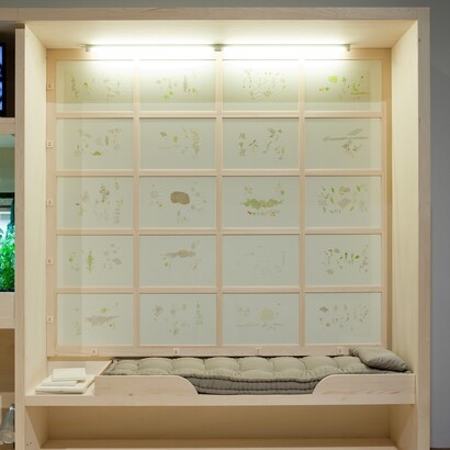 *Piccolo Sistema* 2012-2013. 540 x 240 x 240. Courtesy Fondazione Baruchello, Roma   