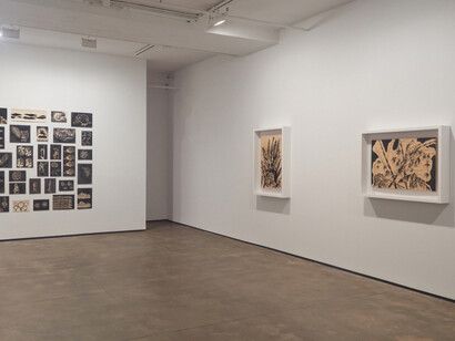 Sun Xun, Exhibition view. Courtesy of Sean Kelly