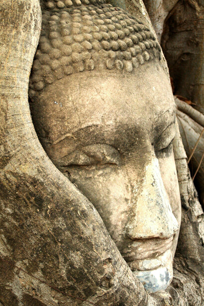 Explore a relação entre hábitos de vida e saúde, conforme ensinado pelo Ayurveda, e adote uma abordagem holística