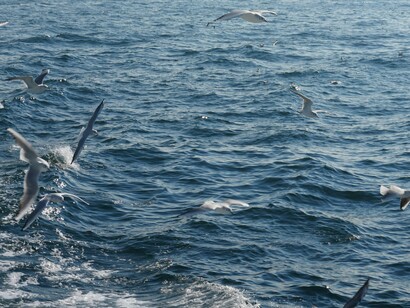 The Maybe transporta-nos para o flexível, para o imprevisível, para os detalhes mal previstos e para indecisões de última hora