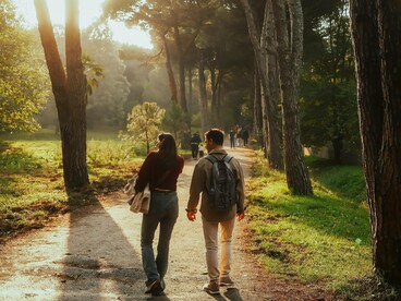 Em termos acústicos, funcionam como barreiras sonoras naturais, abafando e dissipando ruídos, melhorando a qualidade ambiental das vias mais movimentadas. Nenhum outro tipo de infraestrutura urbana é capaz de desempenhar tantas funções simultaneamente, com baixos custos e ainda embelezando o espaço