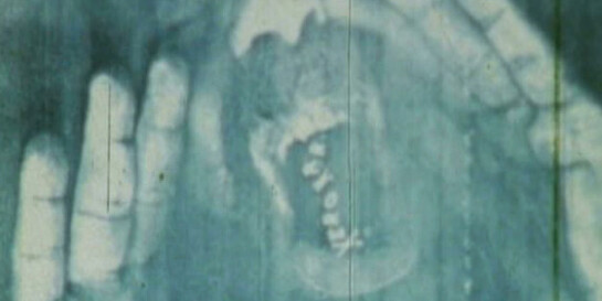 Paulo Bruscky. Courtesy of Galeria Nara Roesler