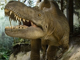 Cretaceous Alberta. Courtesy of Royal Tyrrell Museum