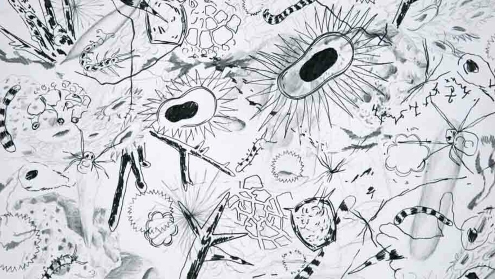 Anaïs Senli. Courtesy of Sala Parés