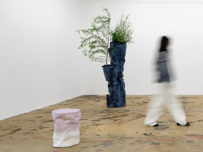 Anders Herwald Ruhwald, Sculptures for plants and people, exhibition view. Courtesy of Nina Johnson