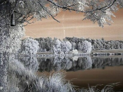 The lake surroundings, covered by the snow