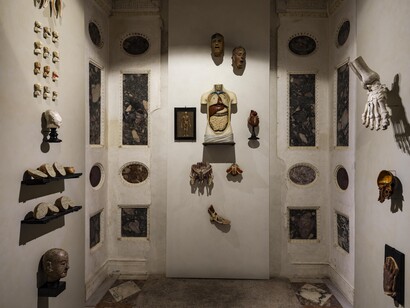 A cabinet of 
wonders. A celebration of art in nature, vista della mostra. Per gentile concessione dei Musei Archeologici Nazionali di Venezia e della Laguna