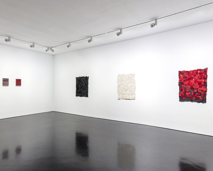 Tonico Lemos Auad. Courtesy of Stephen Friedman Gallery