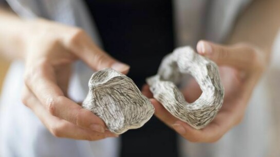 Lilli Carré, Museum of Contemporary Art Chicago, August 8, 2013. Photo: Nathan Keay, © MCA Chicago.