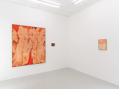 Pauline Fransson, Den blottade jorden (The bared Earth), exhibition view. Courtesy of Bricks Gallery