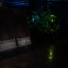Tania Candiani, Radix, exhibition view. Courtesy of IVAM