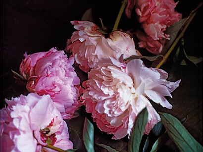 Craigie Horsfield - Five Peonies. Via Chiatamone, Naples. May 2010- 2013 - Stampa su tavola preparata con gesso e cera, 100×92×3,3 cm - Courtesy l’artista e Large Glass, Londra