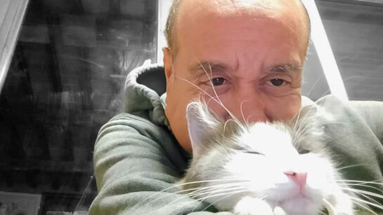 Apareció de la nada, se acercó a su hija y la persiguió ronroneando y buscando mimos, ella se mostraba embriagada por una belleza inigualable, Dulce, así lo llamaremos, más que un gato parecía una ardilla con su cola hinchada y sus saltitos armoniosos. La suavidad de su pelo y un perfil idéntico al de Oscar Wilde, hicieron el resto.
