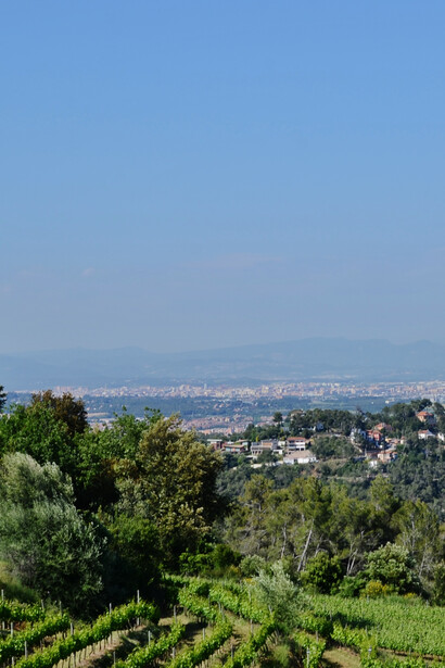 El pueblo a la distancia en el parque natural de Collserola