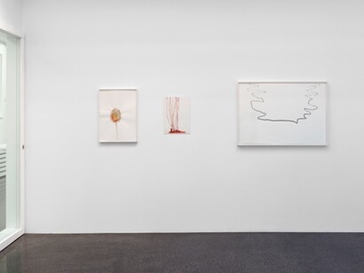 Silvia Bächli & Florian Seidel, Exhibition view. Courtesy of Barbara Gross Galerie