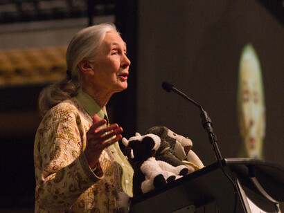  Jane Goodall in una conferenza nell'arena di Mizzou, nell'università del Missouri, USA