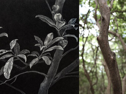 Hilary Tolan, Forestland, 2022. Courtesy the artist and Kingston Gallery