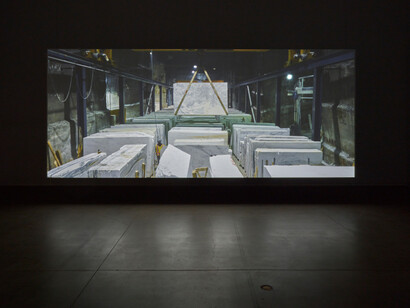 Amie Siegel. Courtesy of Blaffer Art Museum