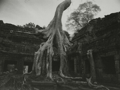 Kenro Izu Angkor #26, Cambodia, 1993 dalla serie “Sacred Places” stampa ai pigmenti, 72x102 cm courtesy l’autore