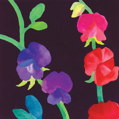 Nerys Johnson, Red and Purple Sweet Peas, gouache 2000, 15 x 15 cm