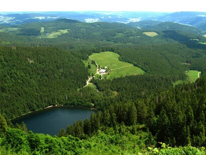 Selva Negra, Alemania