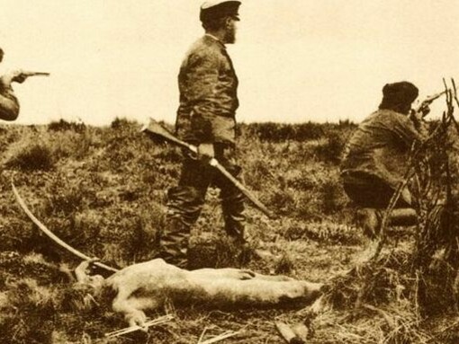 El exterminio mapuche, a finales del siglo XIX; no fue obra de los españoles