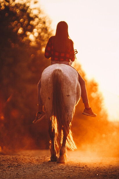 La cavalière puise dans la fougue du vent la rage qui transforme la mélancolie en moteur