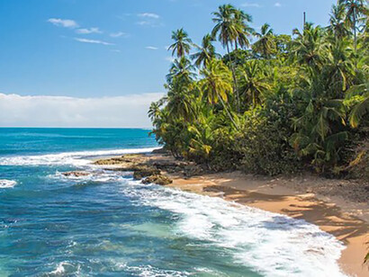 Snakebites are a neglected tropical disease and a  health condition that annually affects the lives of almost 3 million people around the world