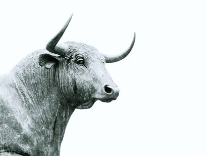 Tradiciones como las corridas de toros y el maltrato animal, en general, son posiciones cada más indefendibles