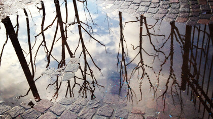 Illusion et réalité