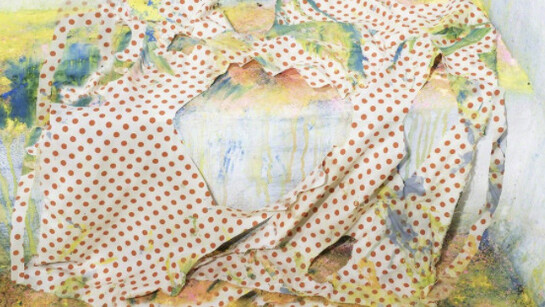 Nico Krijno. Courtesy of The Ravestijn Gallery