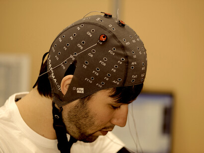 Estudiando el cerebro