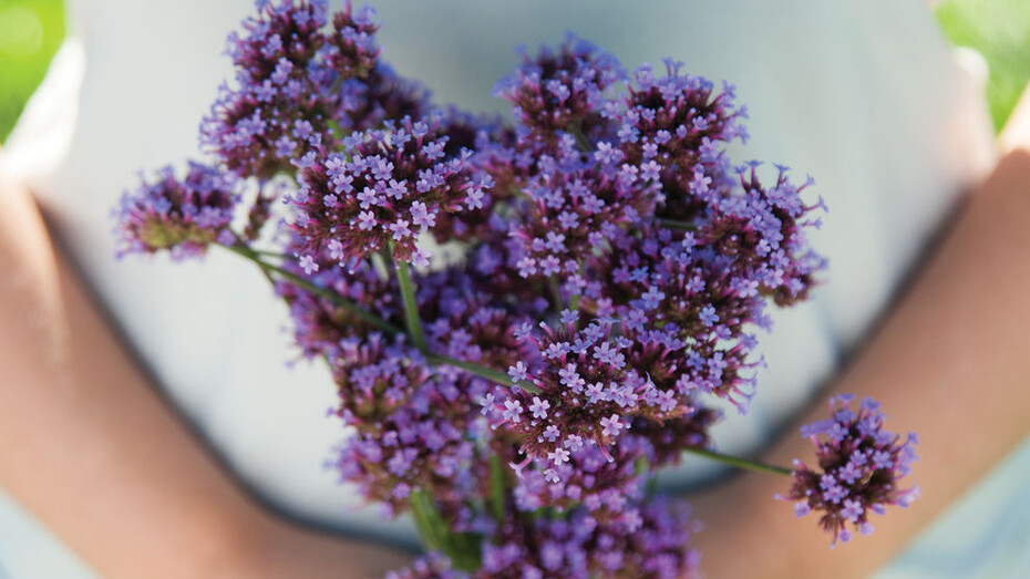 Essenze di primavera
